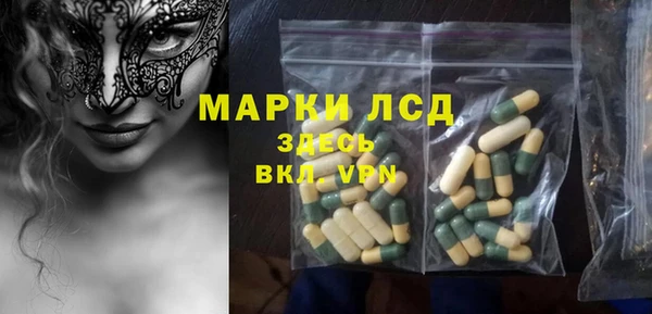 крисы Мегион