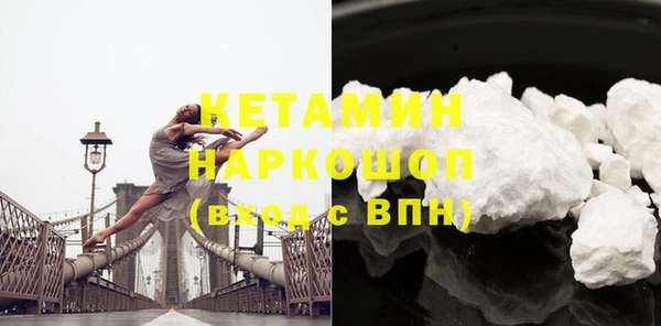 крисы Мегион