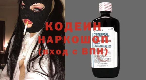крисы Мегион
