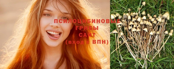 меф Медногорск