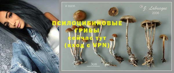 меф Медногорск