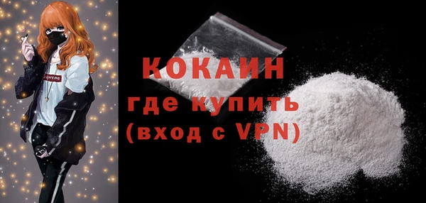крисы Мегион