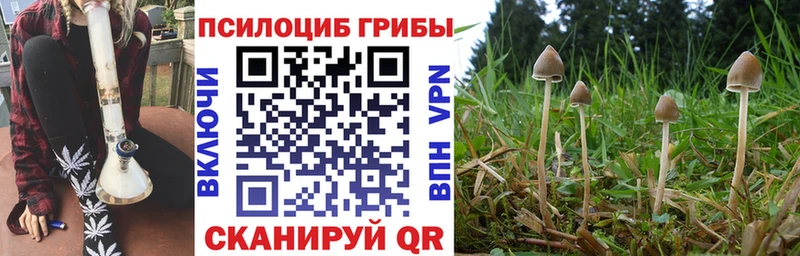 Купить закладки  Княгинино  Галлюциногенные грибы GOLDEN TEACHER 
