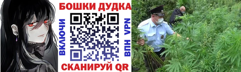 Купить  Княгинино  Канабис конопля 